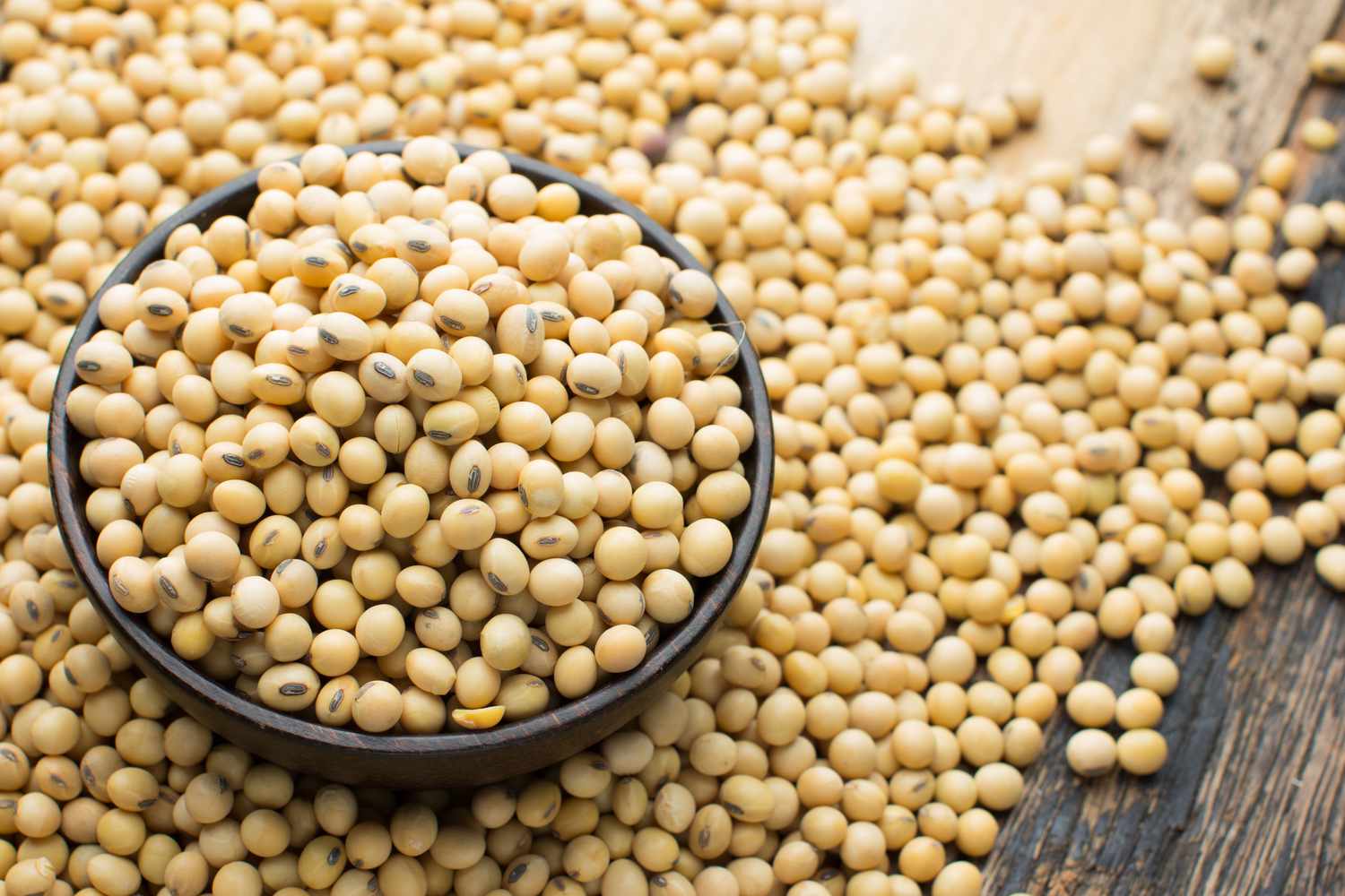 Soya Beans supplier | Boma Fuels