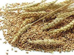Wheat supplier | Boma Fuels